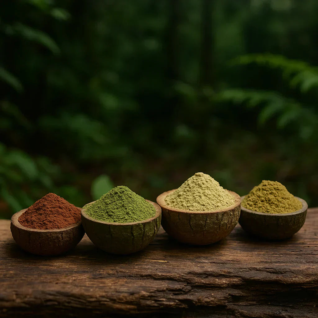 ¿Qué tipo de kratom va contigo? ¿Blanco, verde, rojo o dorado?